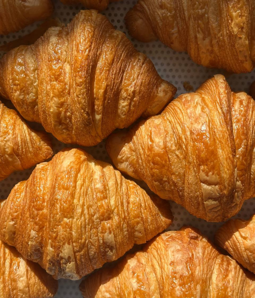 DELIKACIA BAKERY